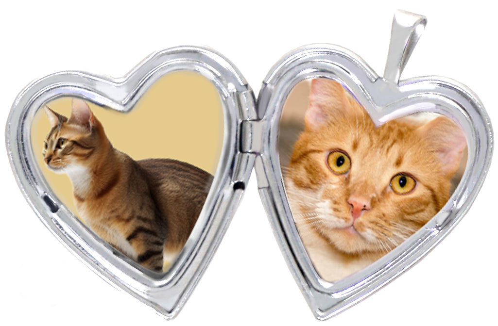 Sterling Hug The Paw Pet Locket