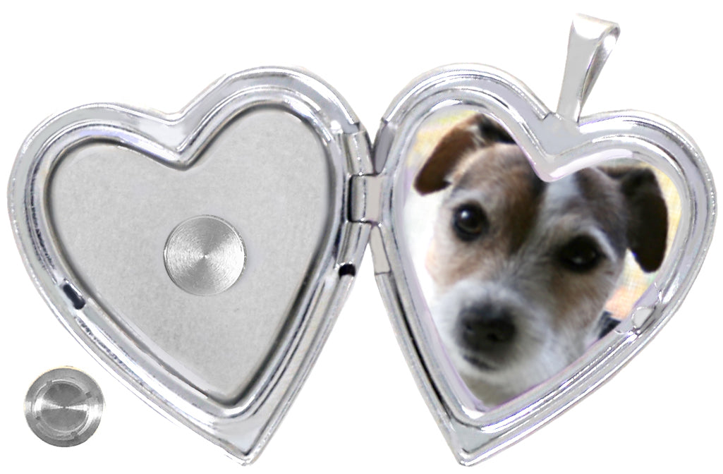 Sterling Silver Pet Heart Memorial Locket with Paw and Pink Heart